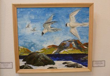 СЕВЕРНЫЙ КРАЙ