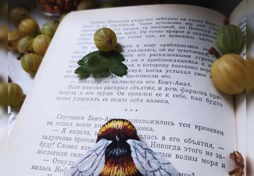 Брошь Шмель