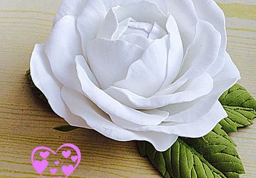 #цветыизфоамирана