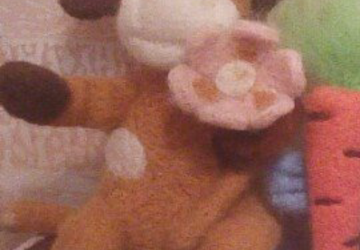 Коровка Нюша.