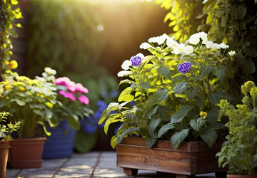 How to make a gift for gardeners