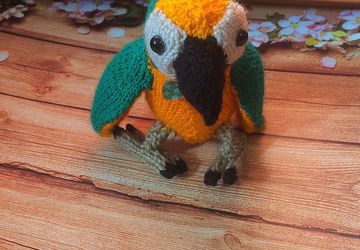 Попугай АРА