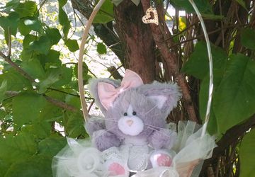 Котенок Обнимашка, в корзинке.