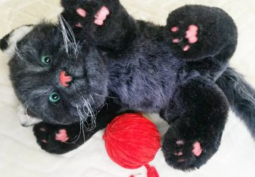 Реалистичный кот Жорик