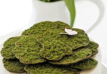 Необычное сахарное печенья в виде съедобного мха