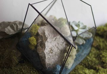 ФЛОРАРИУМ PEACEFUL WAY MEDIUM