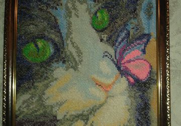 кот с бабочкой
