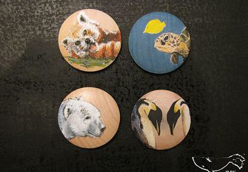 Малая панда, Черепаха, Белый мишка, Пингвины