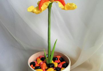 Комнатный (вечно цветущий) цветок Ирис из холодного фарфора.