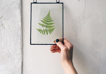 Флорариумы. Гербарии. Витражи