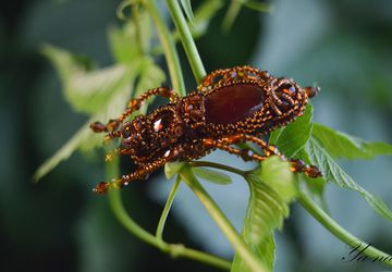 Брошь-жук из бисера "Озорник Тимоша 2". Нет в наличии!