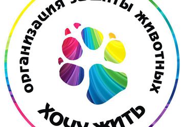 Благотворительная фотосессия "Доброе сердце"