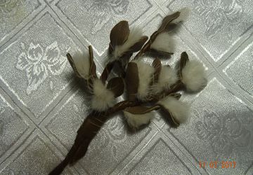 Брошь "Веточка вербы"