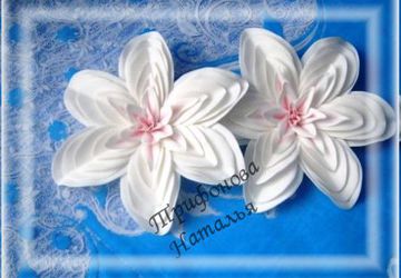 японская камелия