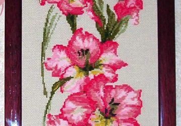 Гладиолусы