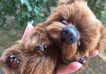 Школа кукольного мастерства