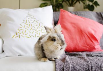 Принт на домашнем текстиле