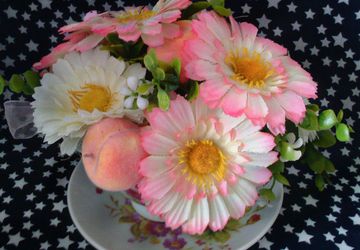 Чашечка гербер