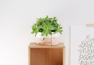 Как сделать декоративный горшок для цветов из глины