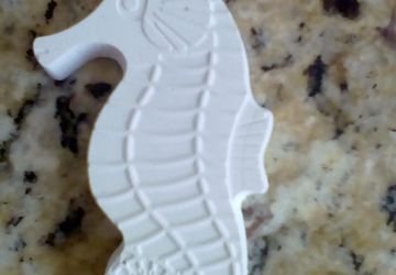 Морской конёк