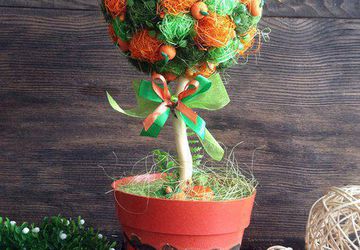 Топиарий - настольное дерево своими руками