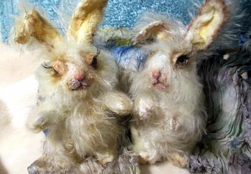 Тедди зайки