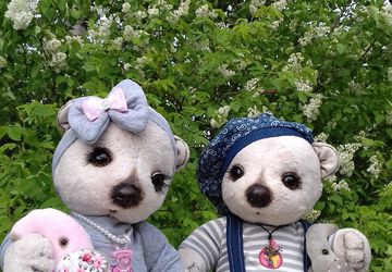 Мишки Тэдди