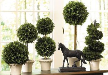 мастер-класс "Осенний Топиарий"