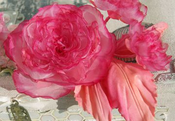 Заколка для волос и брошь в одном