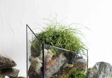 ФЛОРАРИУМ PEACEFUL WAY MEDIUM