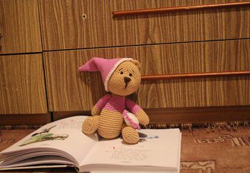 мишка Сонечка