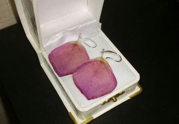 Серьги Шиповник