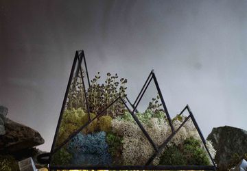 НОЧНИК MOUNTAINS