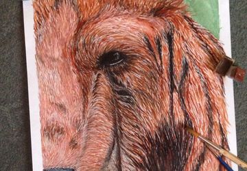 Картина называется " Медведь"