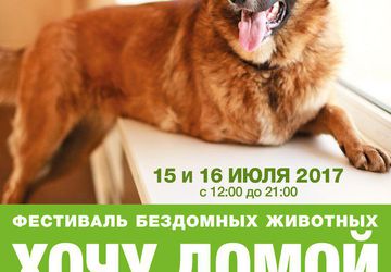 Фестиваль бездомных животных "ХОЧУ ДОМОЙ"