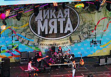 ЯРМАРКА хендмейда на "ДИКОЙ МЯТЕ"