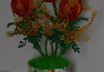 Тюльпанчики