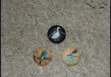 Утка, Фазан и Стрекоза