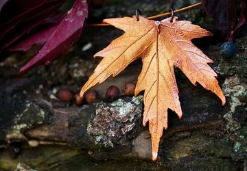 Выставка-ярмарка "Созвездие мастеров"