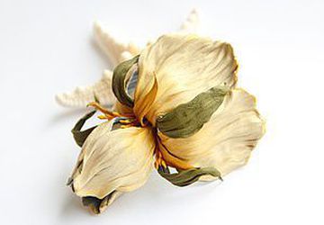 МК Брошь из кожи "Ирис"