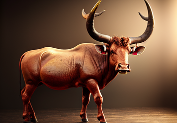 How to make a gift for Taurus