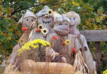 Как сделать чучело своими руками