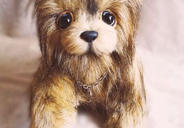 Йоркширский терьер Джесси и Дружок