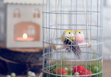 Птички в клетке