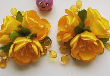 Пара заколок для волос.