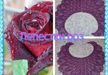 Шаль "Лепестки роз"