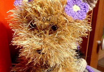 Йоркширский терьер