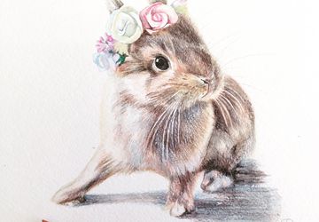 Портреты домашних питомцев на заказ