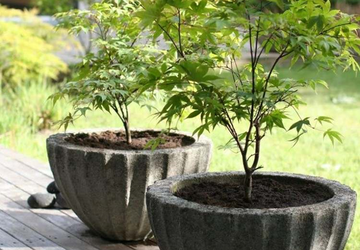 Бетонные горшки для цветов, но милые! Своими руками.