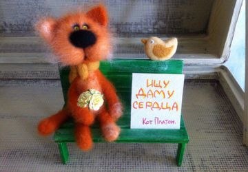 Питерский кот в поиске любимой